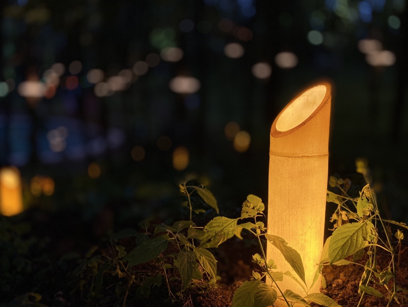 夜游安排！丽江古城狮子山越夜越精彩！ (8).JPG