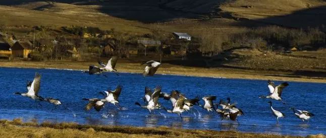 赵立坚点赞丽江 网友纷纷发文表达对丽江的向往……