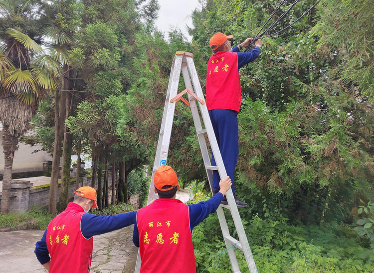 丽江“蓝朋友”投身创文，扮靓古城