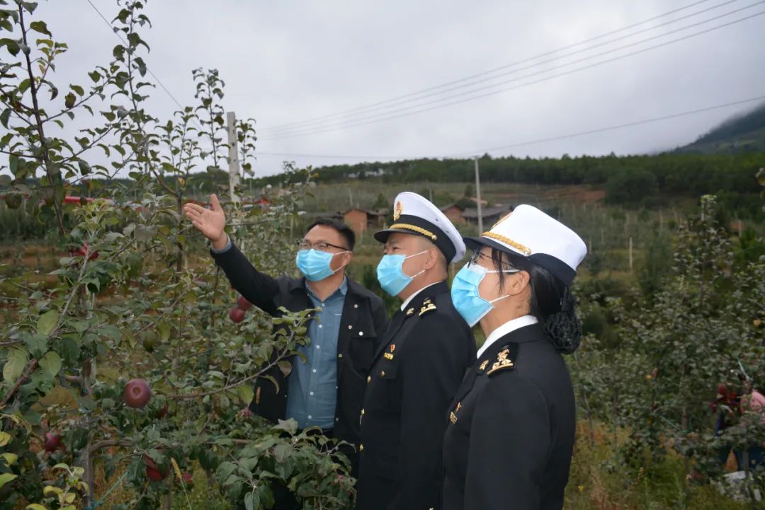 6214吨 宁蒗苹果实现出口零突破.jpg