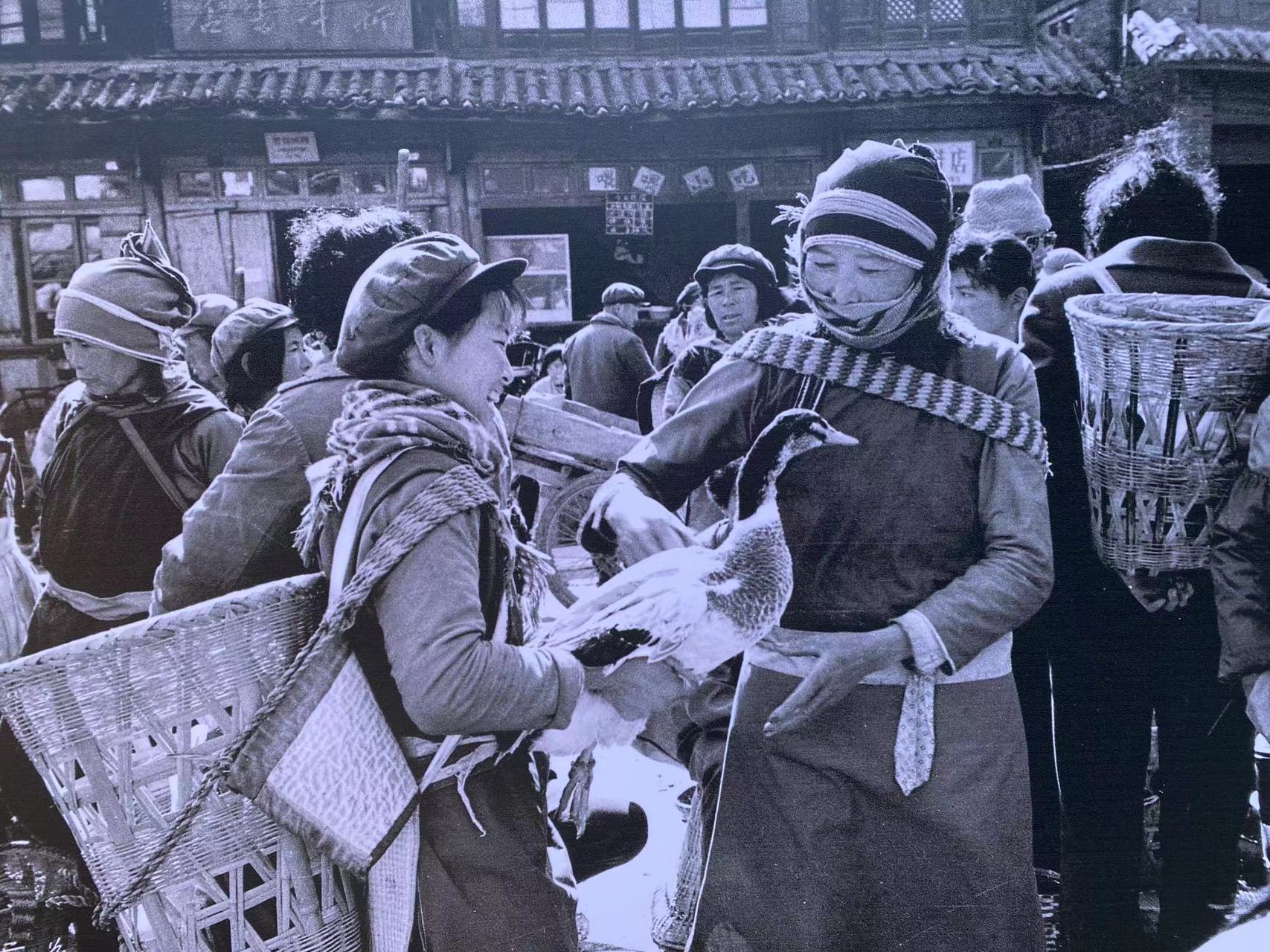 数百张照片 看尽丽江古城的似水流年 (6).jpg