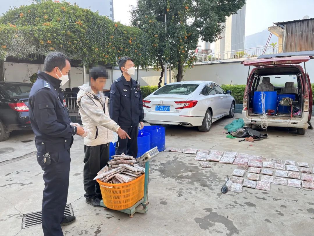 华坪县4名男子因非法捕鱼被抓