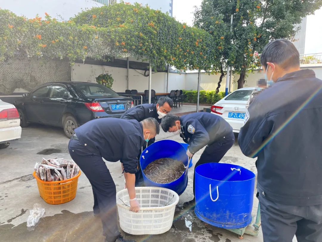 华坪县4名男子因非法捕鱼被抓