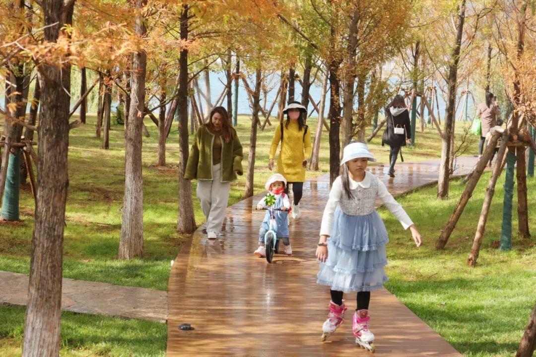 中济海很美去的人很多 公园管理通告发布这些事不能做