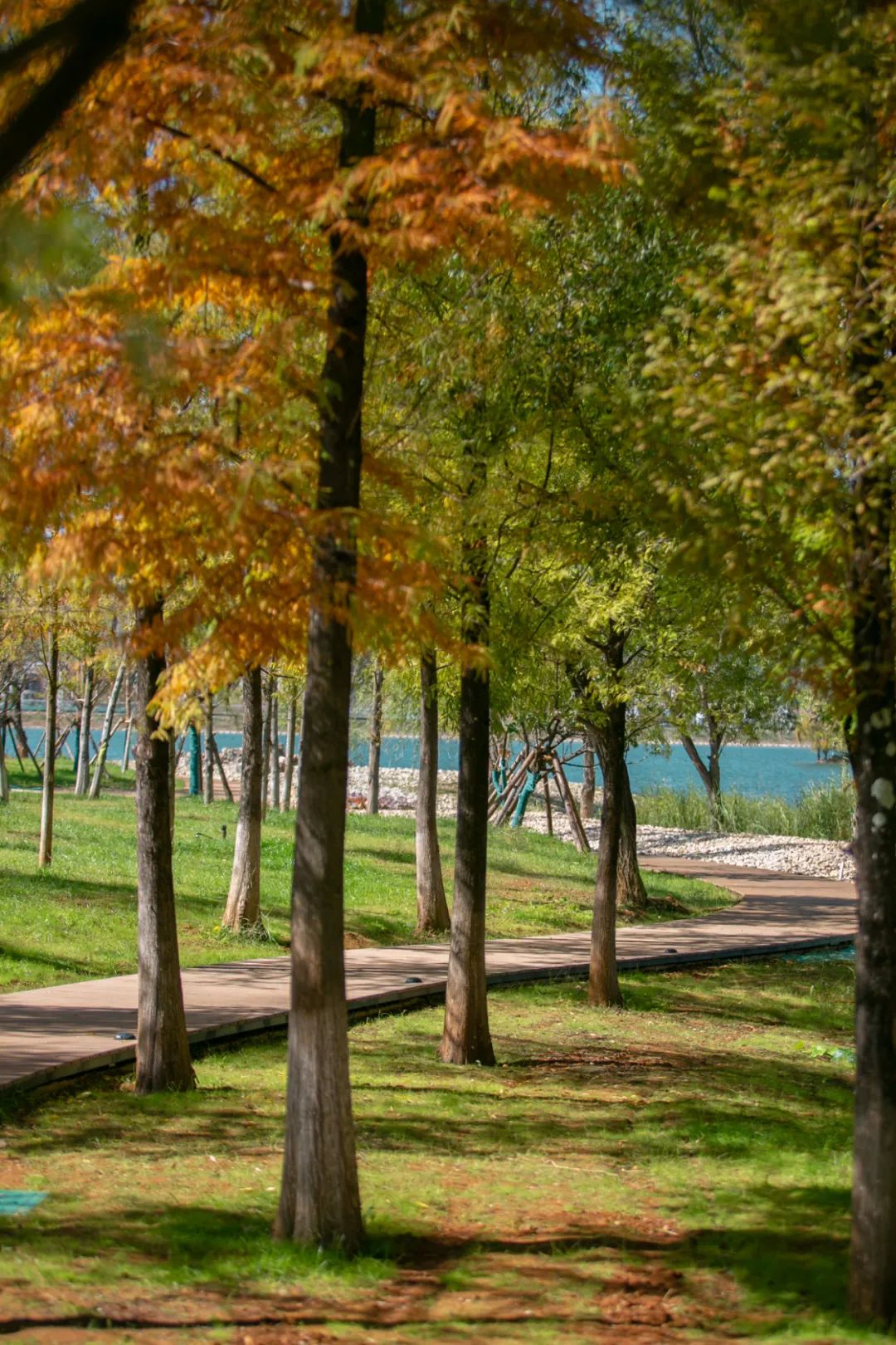 中济海很美去的人很多 公园管理通告发布这些事不能做