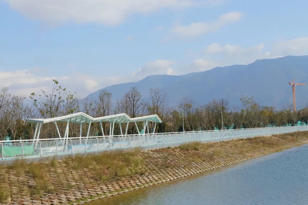 中济海很美去的人很多 公园管理通告发布这些事不能做