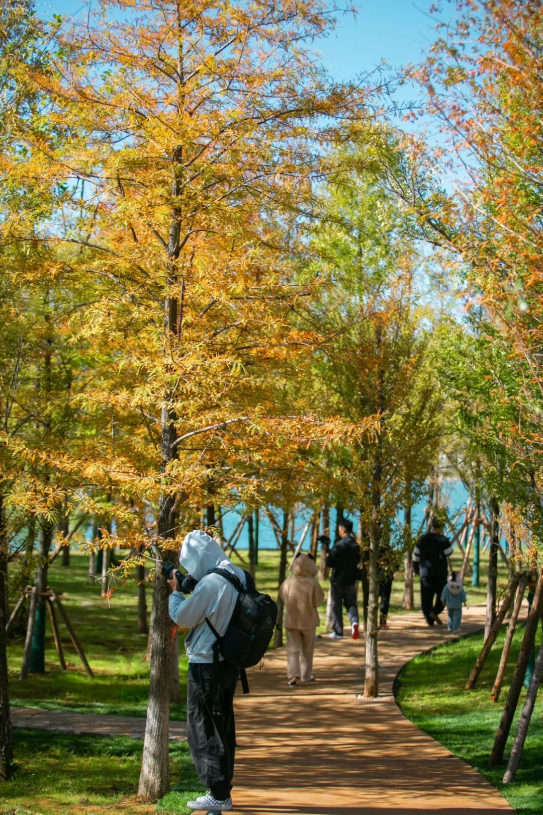 中济海很美去的人很多 公园管理通告发布这些事不能做