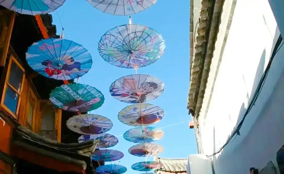 把你浪漫在春天的丽江油纸伞 太美好！