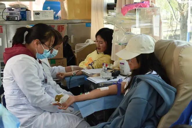 丽江师专230名学子挽袖献血 (1).jpg