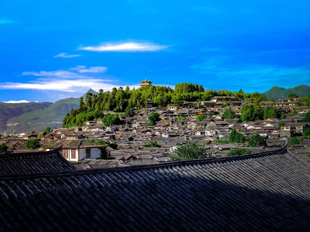 致全市旅游从业人员  珍惜当下来之不易的美好.jpg