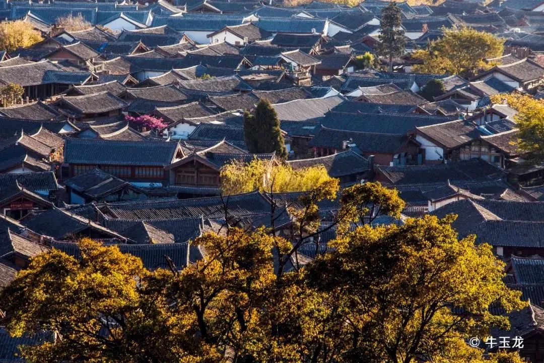 有一种叫云南的生活之舍不得的丽江 (3).jpg