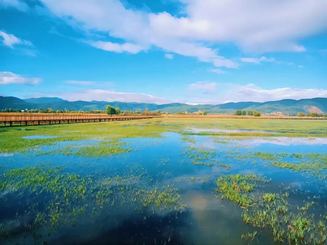拉市海将开展旅游市场秩序专项整治行动  为期一个月 (1).jpg