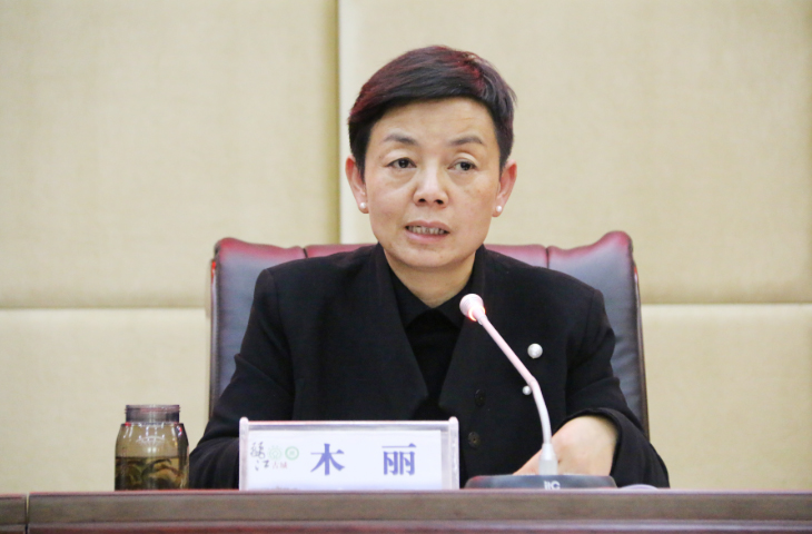 不断落实落细  丽江古城景区创文工作再推进 (1).jpg