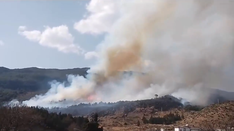 点火烧害虫引发的束河山火 杨某因失火罪被判1年零8个月