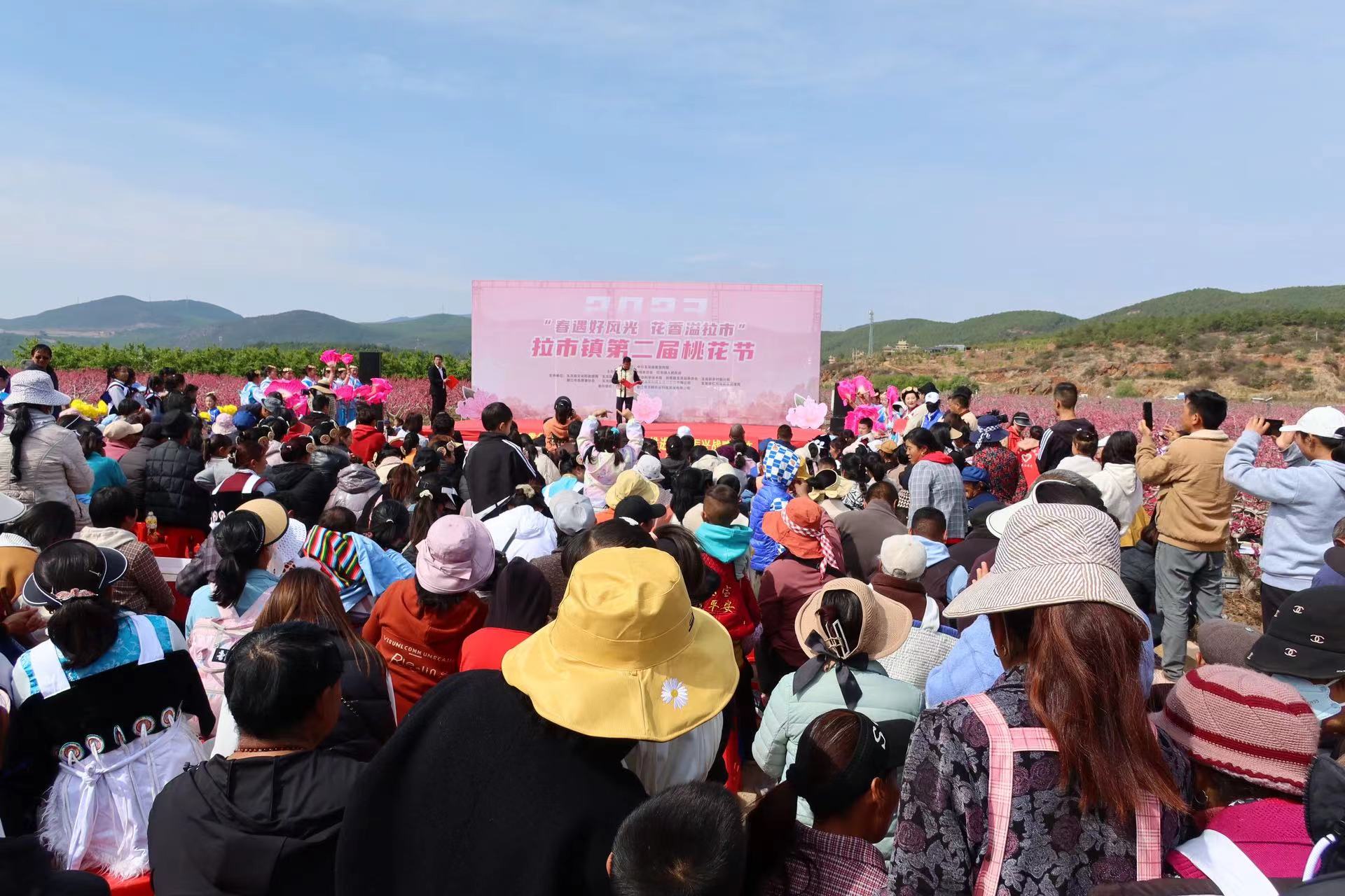 春遇好风光 花香溢拉市 拉市镇第二届桃花节开幕了！ (7).jpg