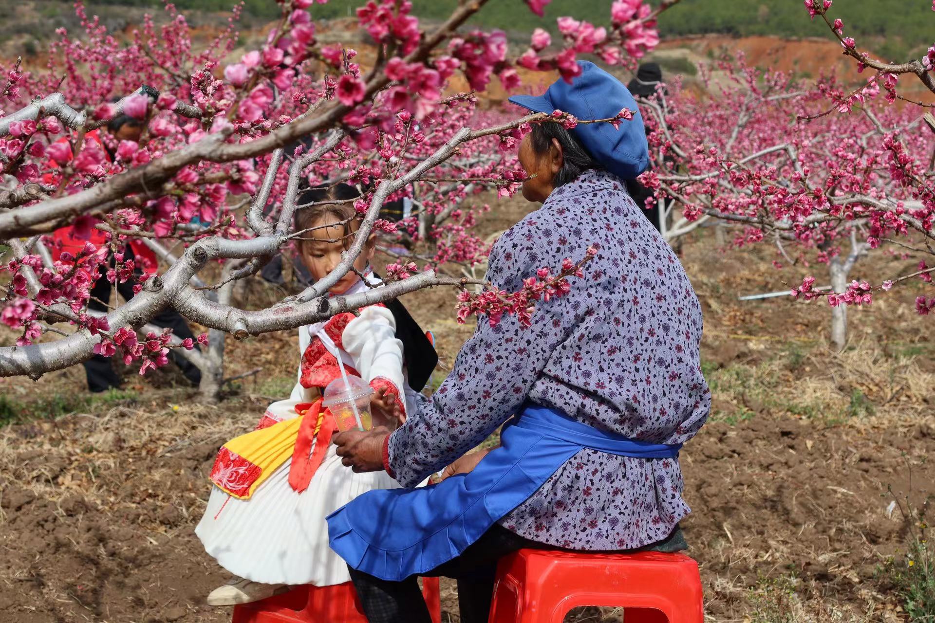 春遇好风光 花香溢拉市 拉市镇第二届桃花节开幕了！ (9).jpg