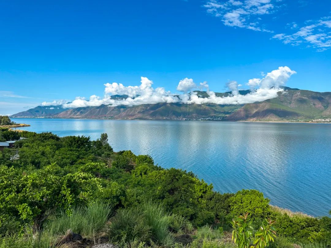 程海雨后美如仙境 夏日景色绝佳 (3).jpg