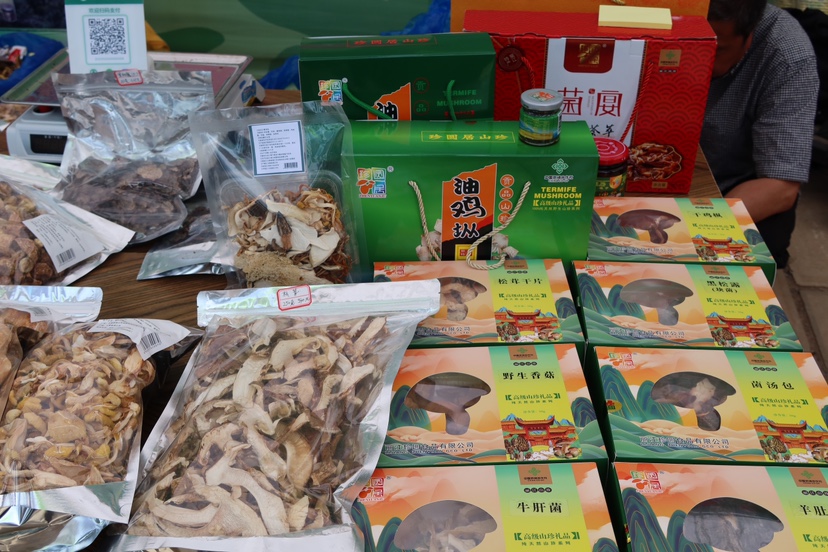 误入荷花深处 第二届三川荷花季“如梦”而至 (1).jpg