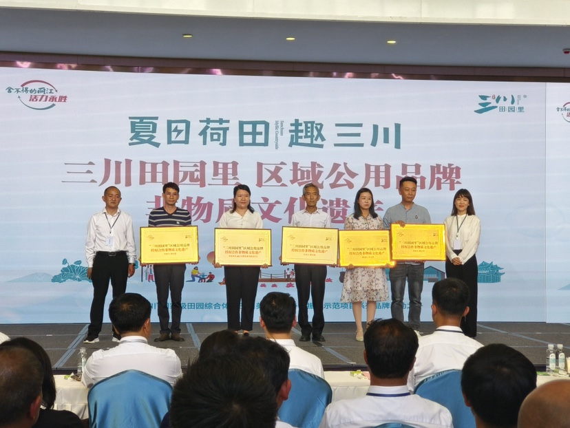 误入荷花深处 第二届三川荷花季“如梦”而至 (5).jpg