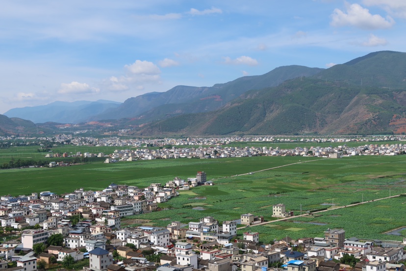 误入荷花深处 第二届三川荷花季“如梦”而至 (12).jpg