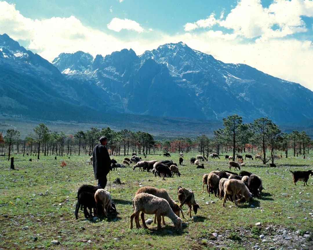 雪山下的老城 人们将生活演绎得赏心悦目7.jpg