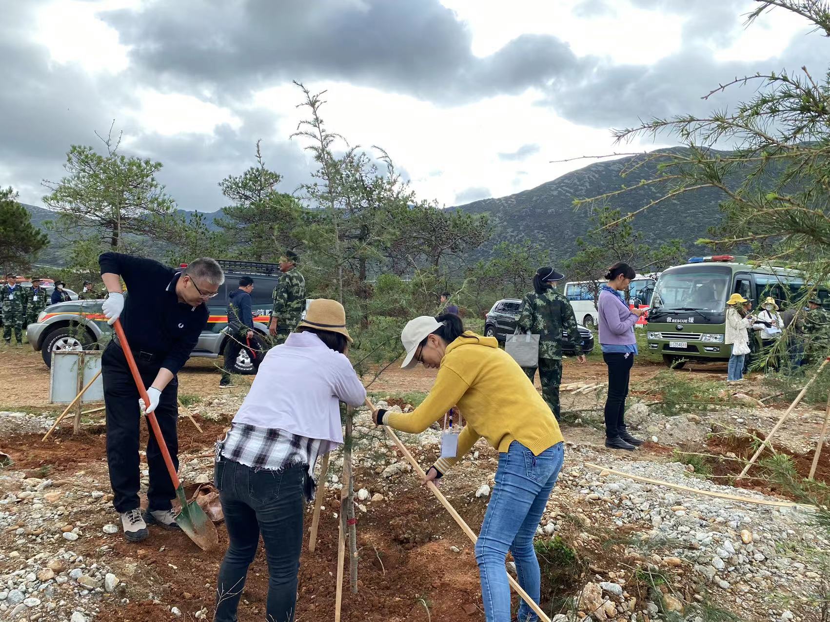310亩  15000株  市直机关单位义务植树  为丽江再添新绿 (1).jpg