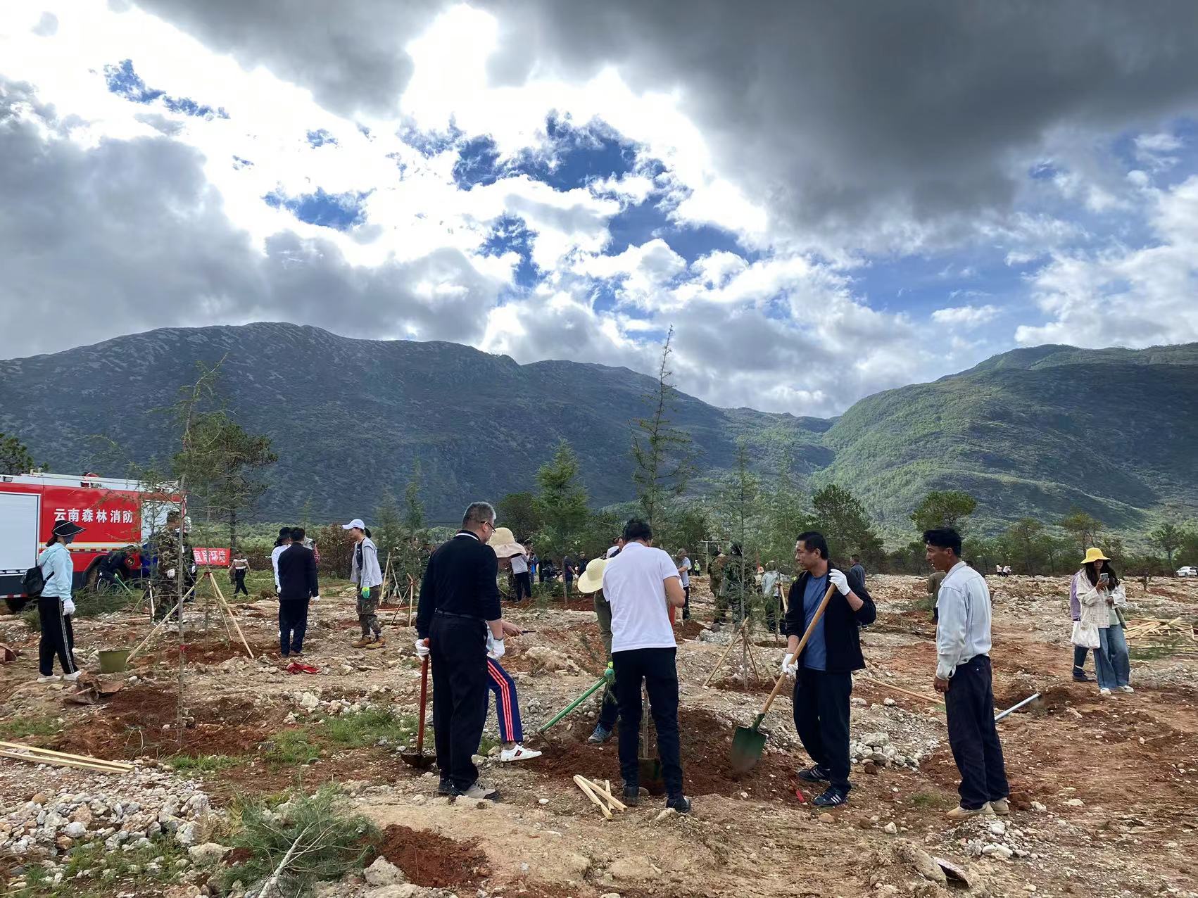 310亩  15000株  市直机关单位义务植树  为丽江再添新绿 (2).jpg