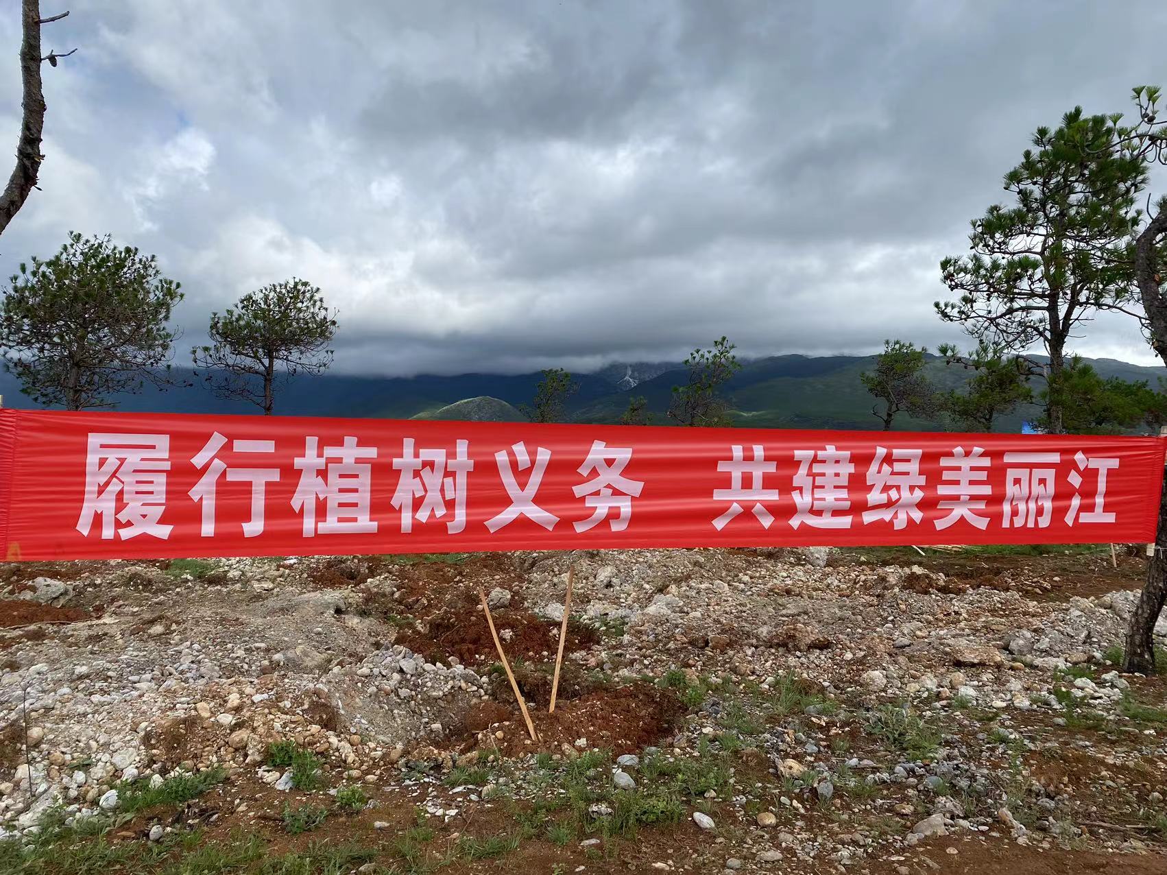 310亩  15000株  市直机关单位义务植树  为丽江再添新绿 (7).jpg