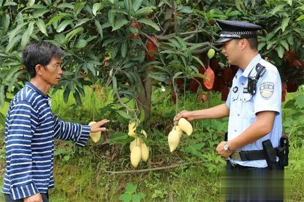 华坪县公安开展“芒果警务”助力乡村振兴 (5).jpg