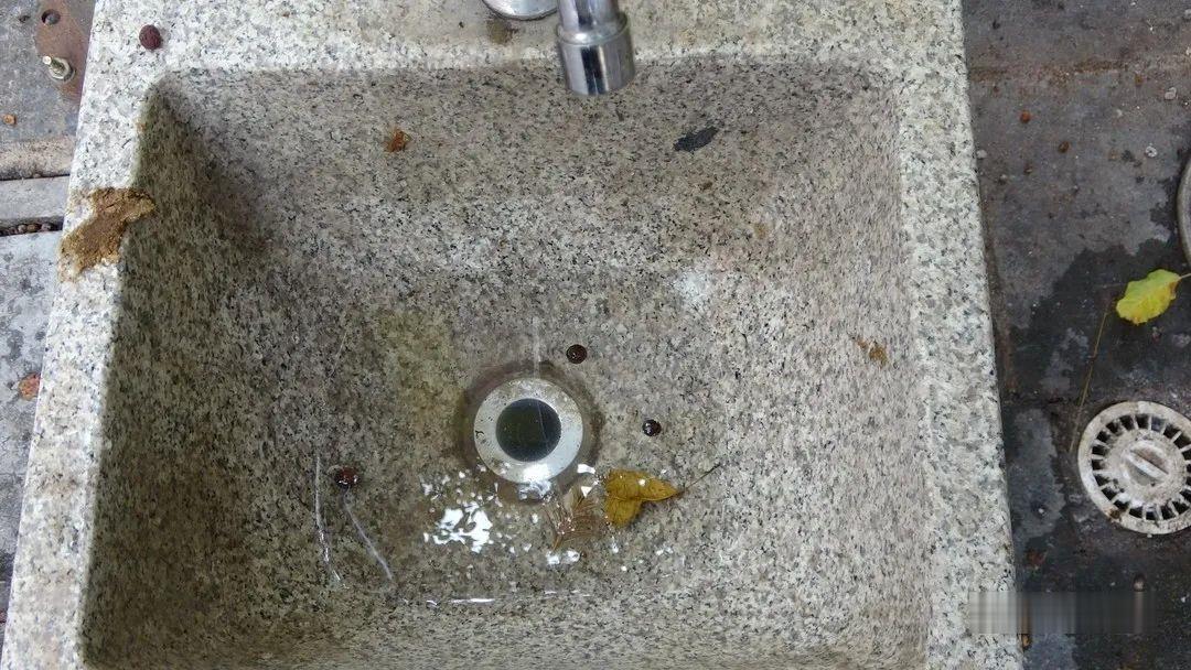 华坪县曝光创建国家卫生县问题 (2).jpg