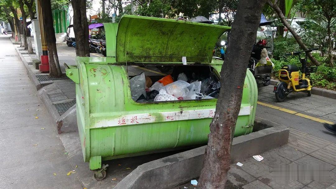 华坪县曝光创建国家卫生县问题 (5).jpg