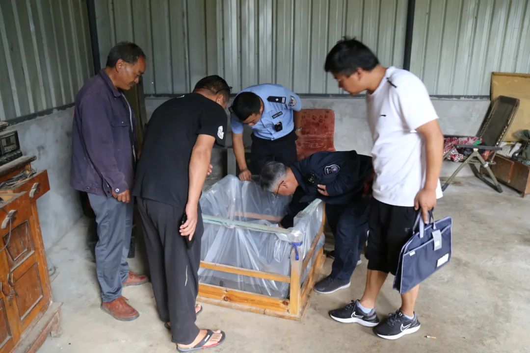 野生“娃娃鱼”被冲上岸  大的那条有1.3米长 (1).jpg