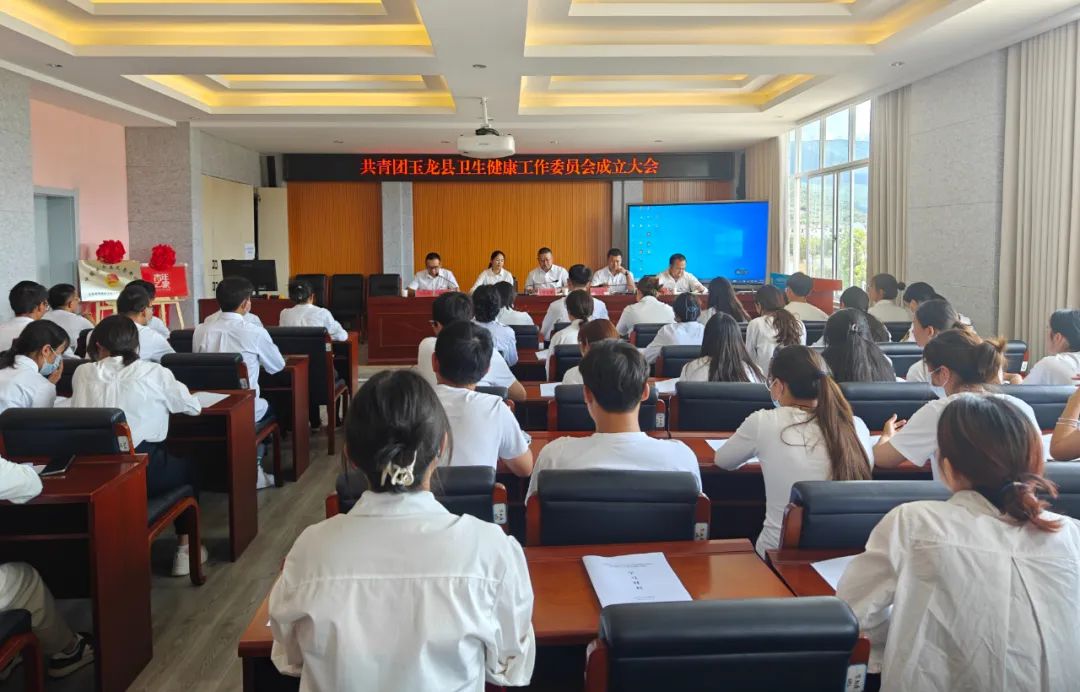 共青团玉龙县卫生健康工作委员会成立，助推青年和卫生健康事业发展.jpg