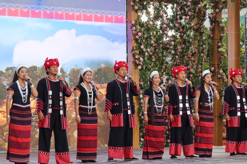 夏季“村晚”主会场及系列活动在丽江古城玉河广场启动 (10).JPG