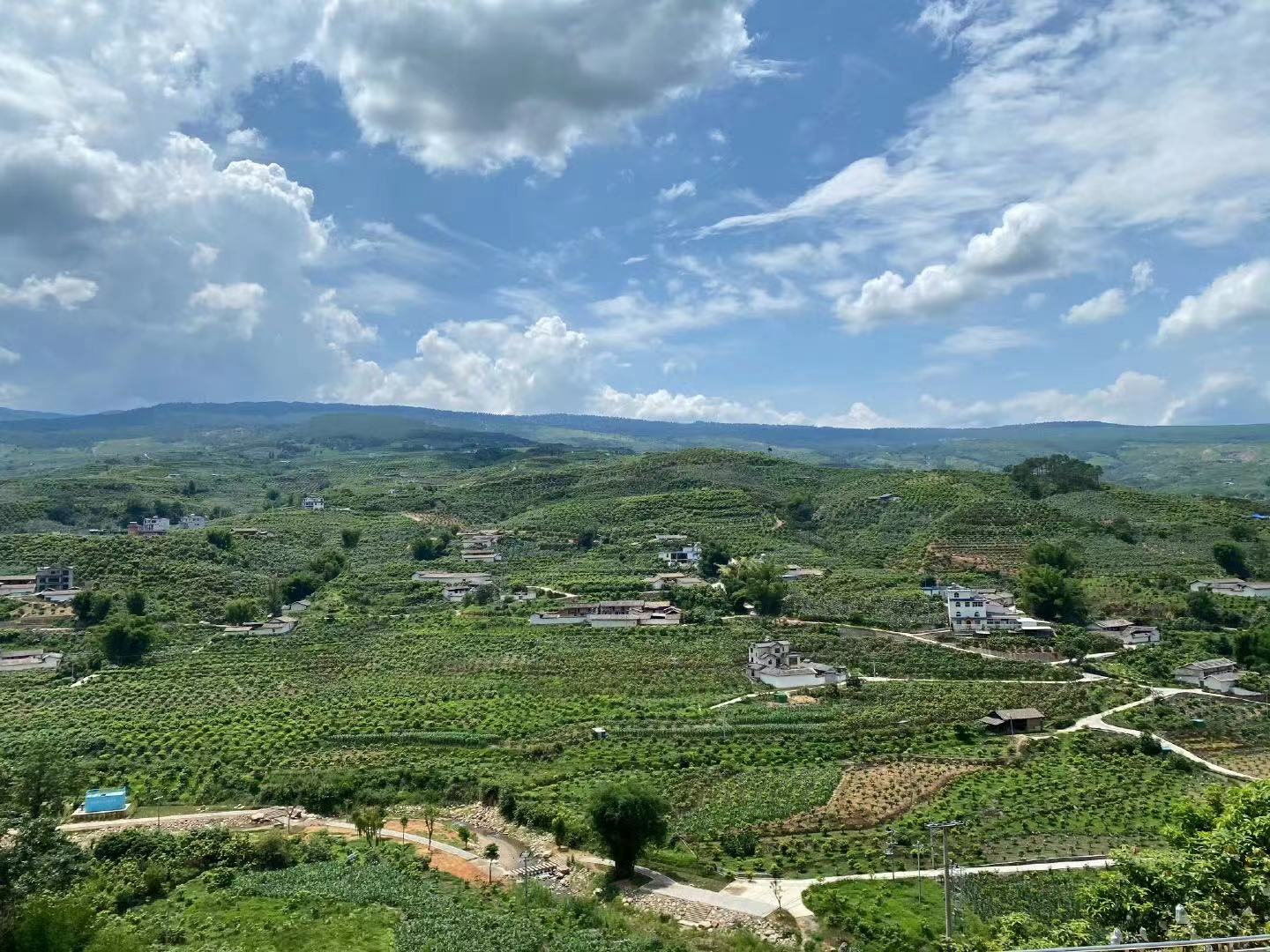 金沙江流域芒果产业大会将在丽江举办 (7).jpg