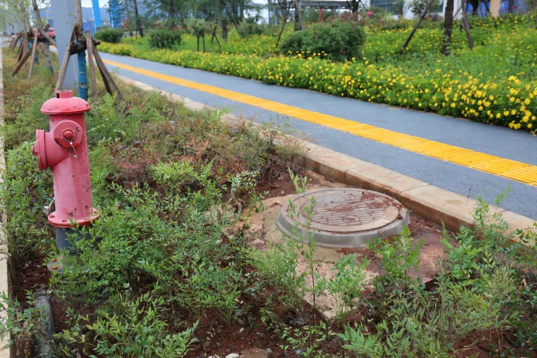 这个路口一到下雨天路面就被污水倒灌  终于解决了！ (3).jpg