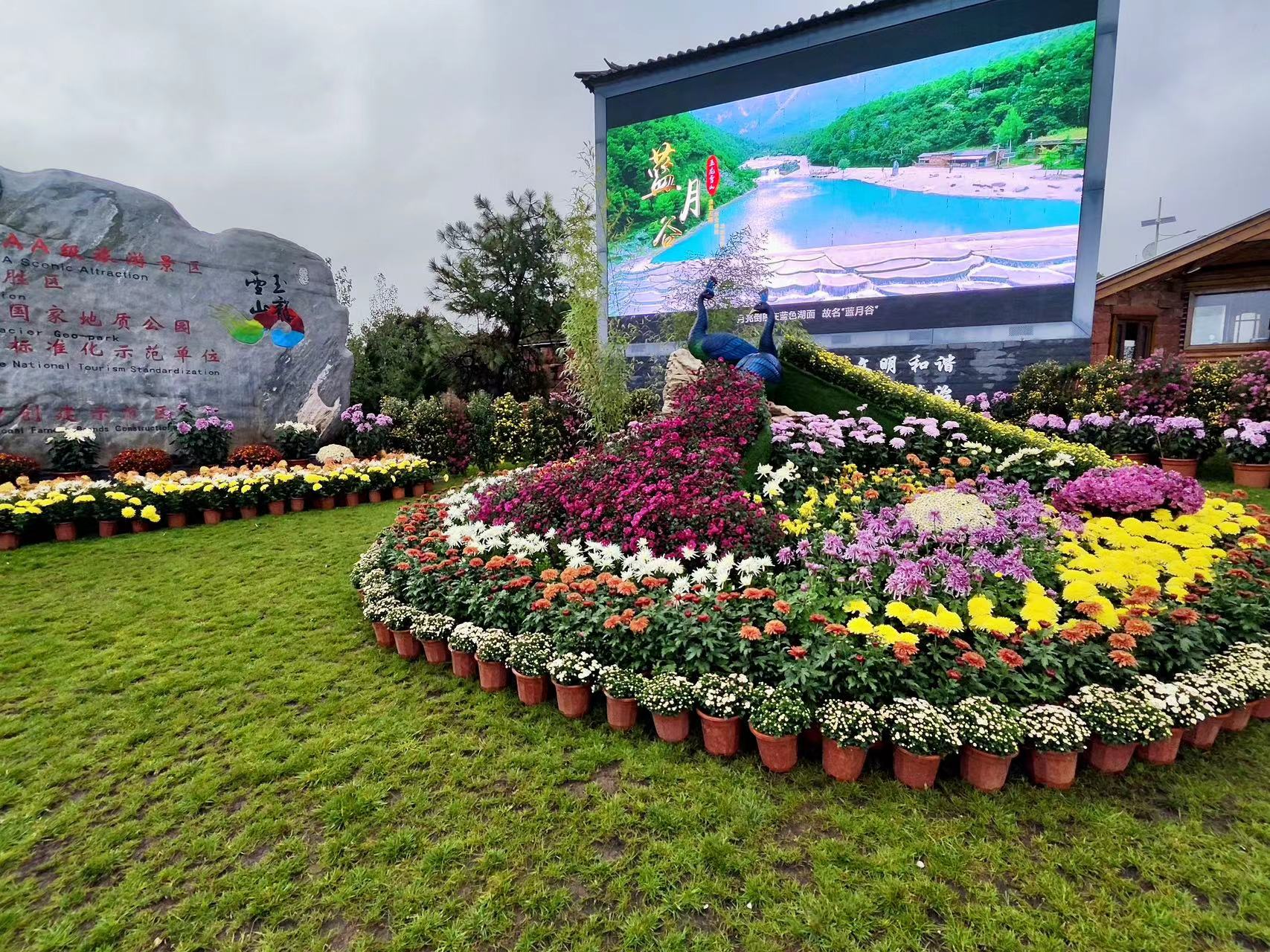 红了红了！玉龙雪山景区国庆氛围感“拉满” (4).jpg