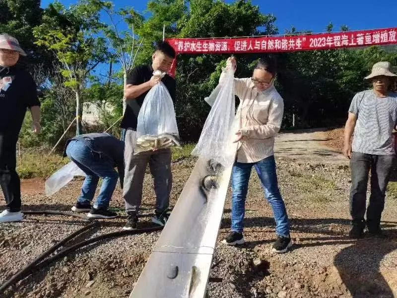 17万尾程海土著鱼“回归”程海.jpg