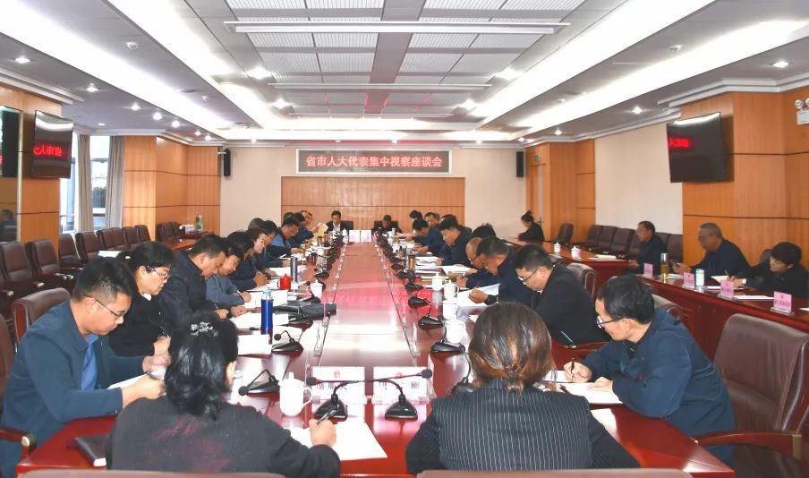 省市人大代表深入丽江，聚焦重大项目建设 (2).jpg