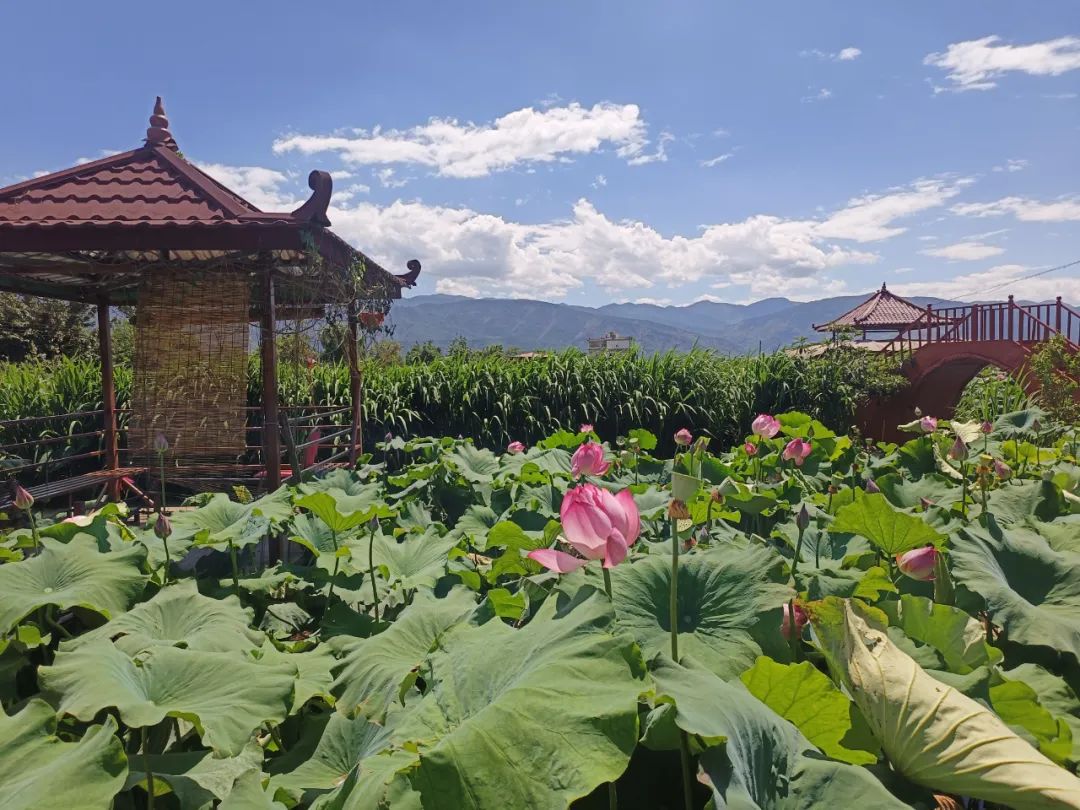 丽江永胜县入选首批全国文化产业赋能乡村振兴试点！ (2).jpg