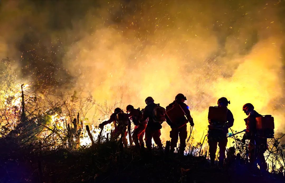 英雄无悔三十载！丽江森林消防支队荣获先进集体称号 (3).jpg