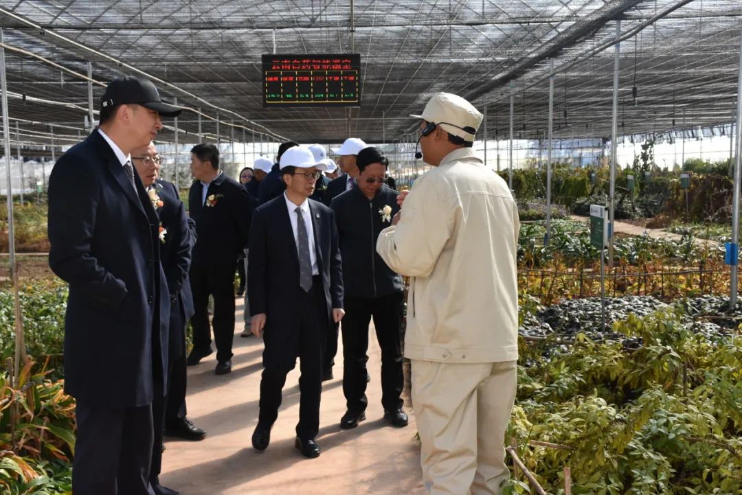 丽江数字中药材产业平台启用 (2).jpg