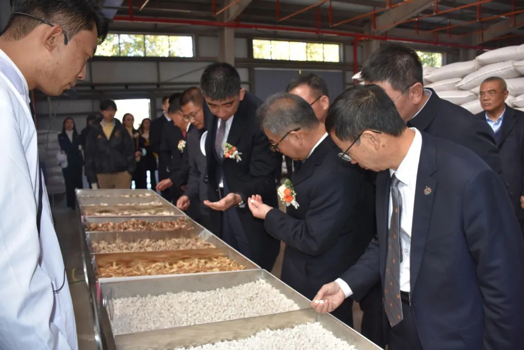 丽江数字中药材产业平台启用 (3).jpg