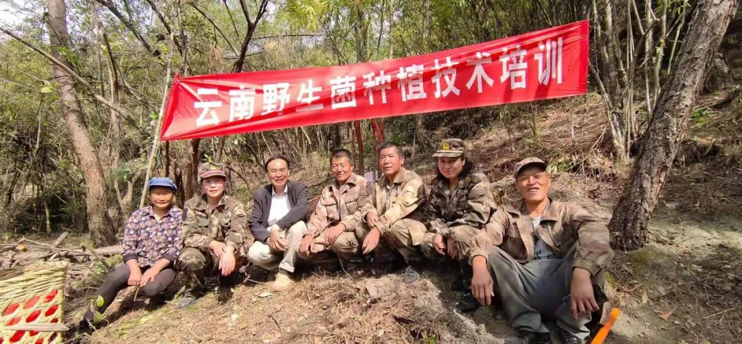 松露引种培育实验在丽江取得突破性进展 (3).jpg