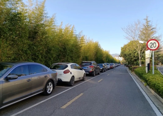 市行政中心100余个停车位将错峰面向市民游客免费开放 (2).png