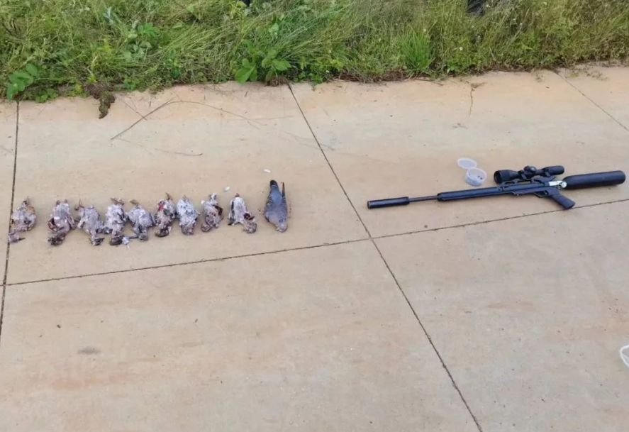 永胜警方破两起非法狩猎案 (3).png