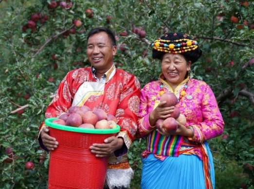 宁蒗新营盘乡苹果产值突破2 (1).png