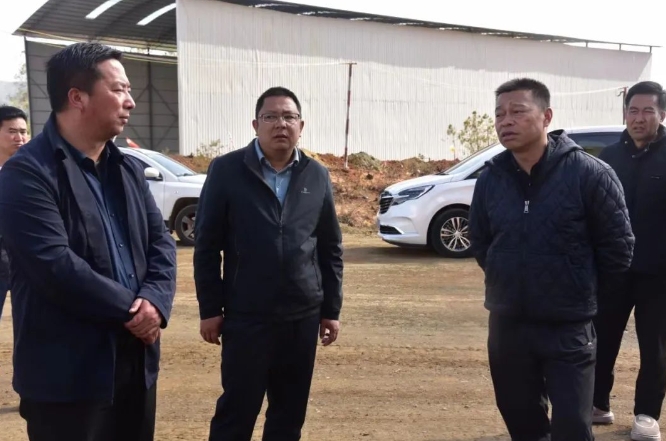 古城区委主要领导调研督导生态环境保护工作 (1).png