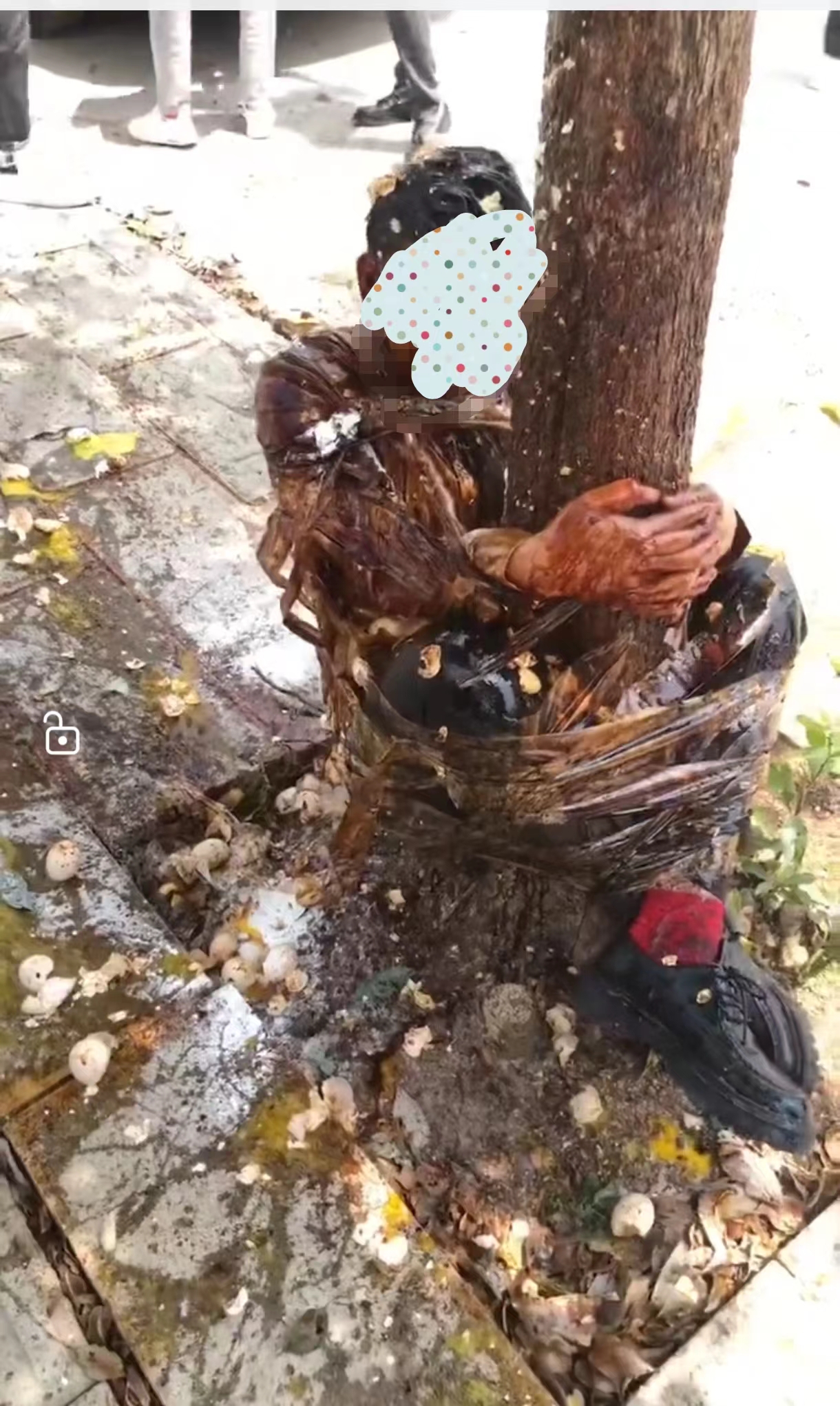 恶俗婚闹太离谱 丽江一新郎被绑树上并被泼酱油和鸡蛋.jpg