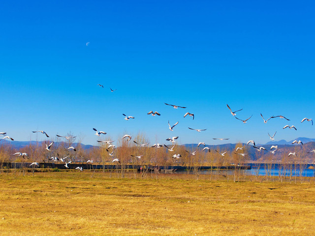 丽江该玩什么？看完这篇就知道了 (2).jpg